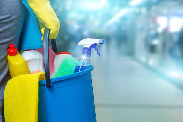 Regular Cleaning