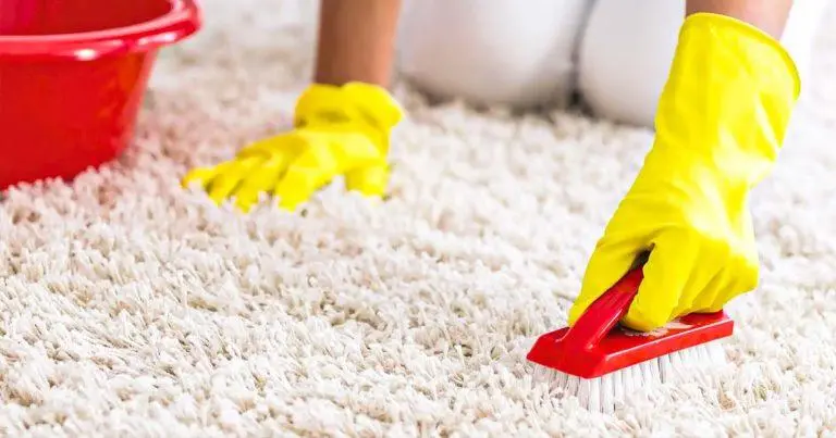 Nettoyer tapis comme un pro
